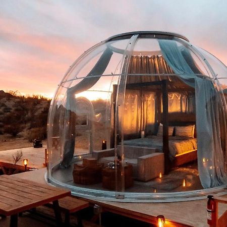 JTHAVN-Joshua Tree Remote Dessert Bubble Dome Esterno foto