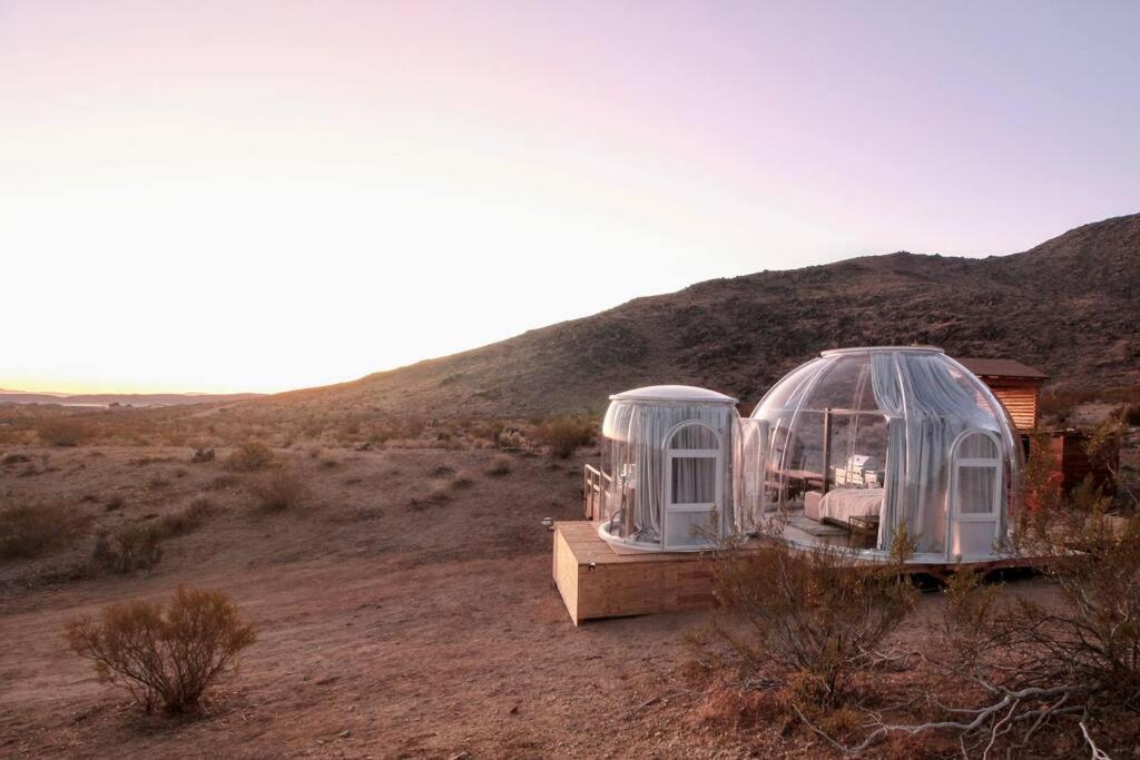 JTHAVN-Joshua Tree Remote Dessert Bubble Dome Esterno foto