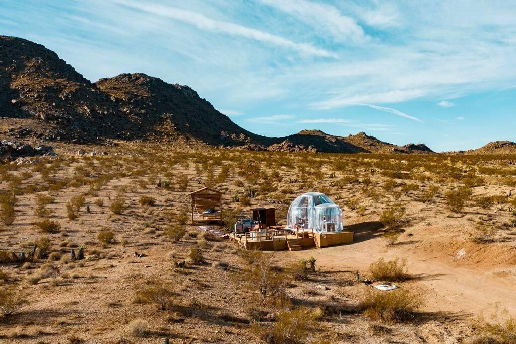 JTHAVN-Joshua Tree Remote Dessert Bubble Dome Esterno foto